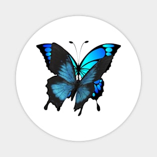 Butterfly design Tshirt Magnet